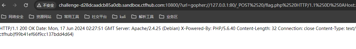 image-20240617102801504