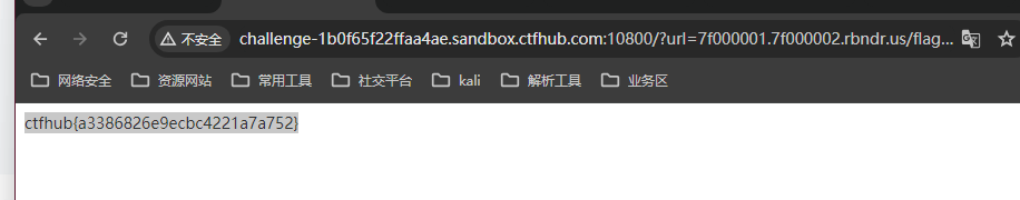 image-20240617174654673