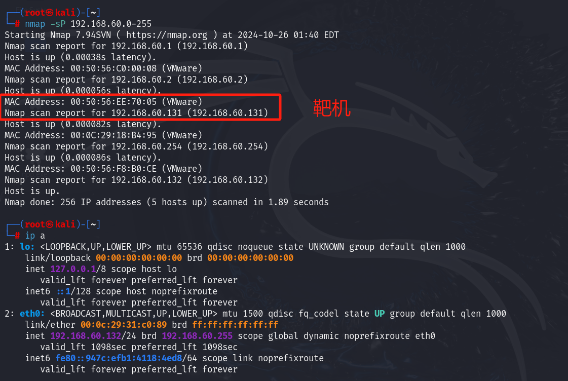 image-20241026135337480