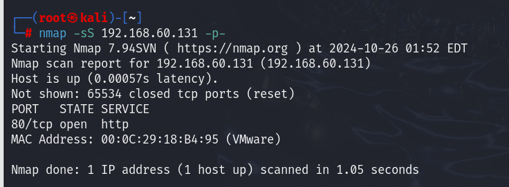 image-20241026135300504