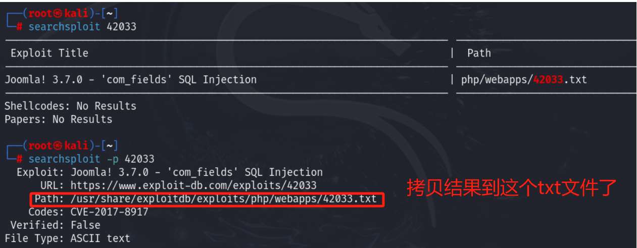 image-20241026214945560