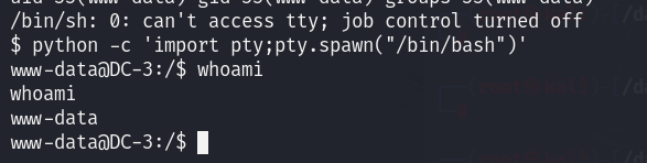 image-20241027112259653