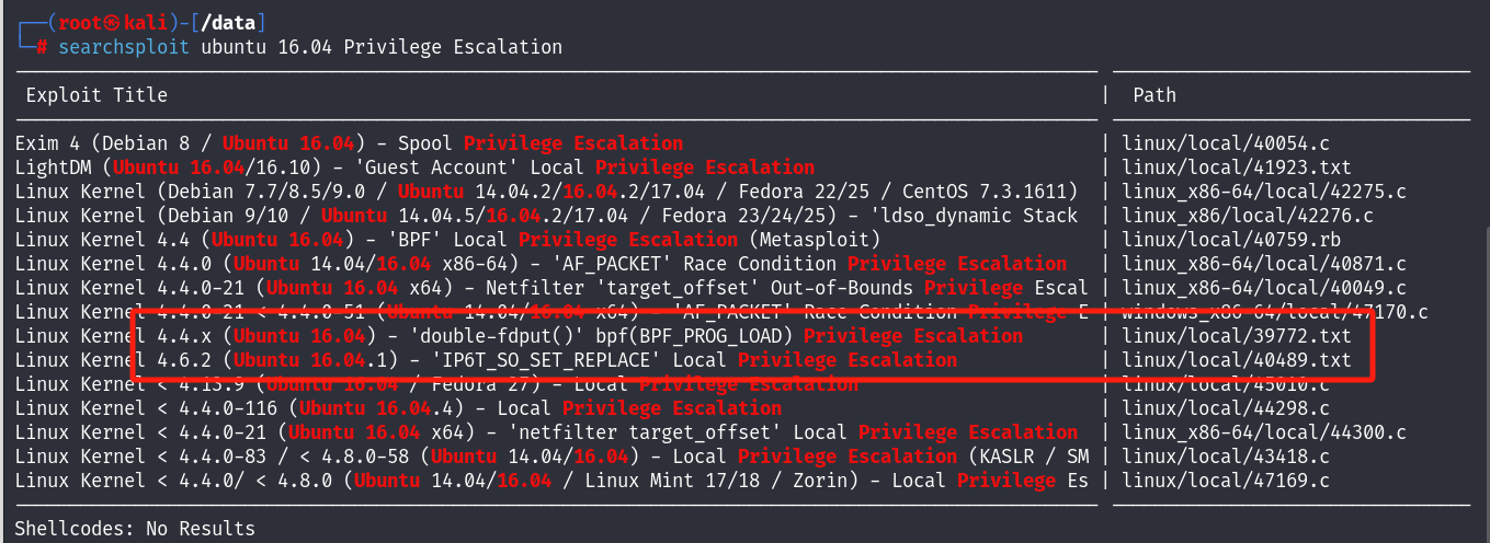 image-20241027135333735