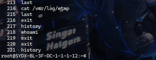 image-20241111234033779