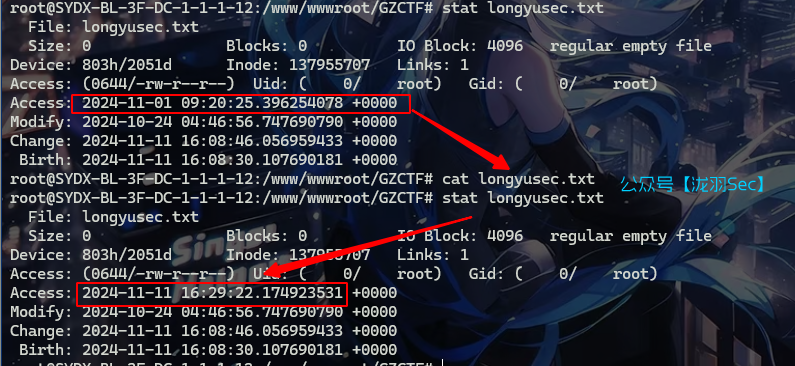 image-20241112003024826