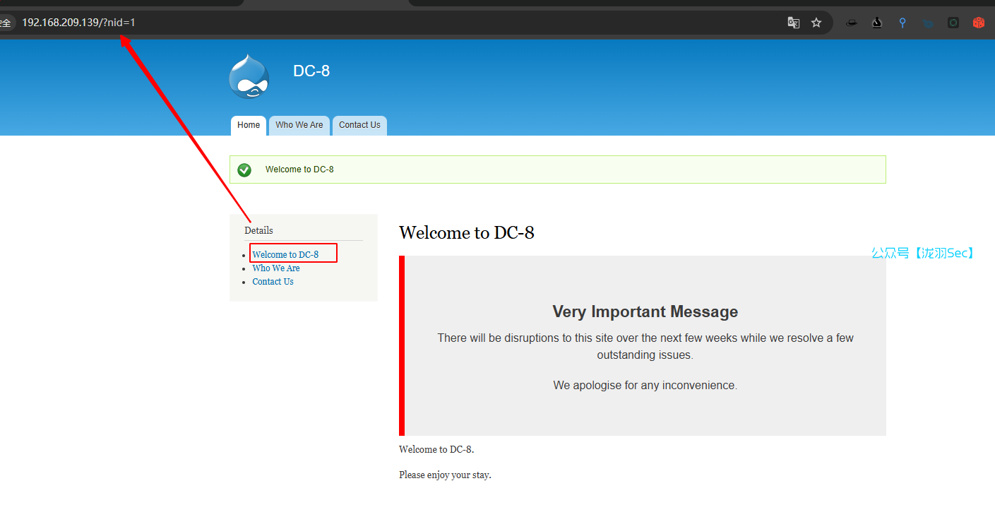 image-20241114113727856