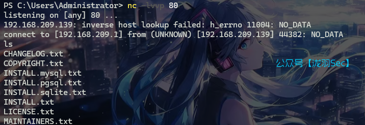 image-20241114142856535