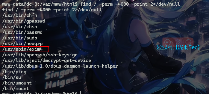 image-20241114150946994