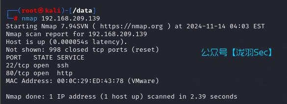 image-20241114170433946