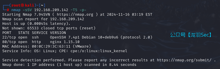 image-20241116161952225