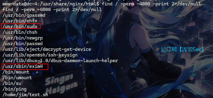 image-20241116173338400