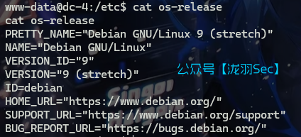 image-20241116173424998