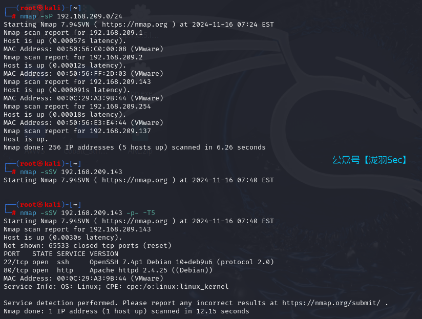 image-20241116204129071