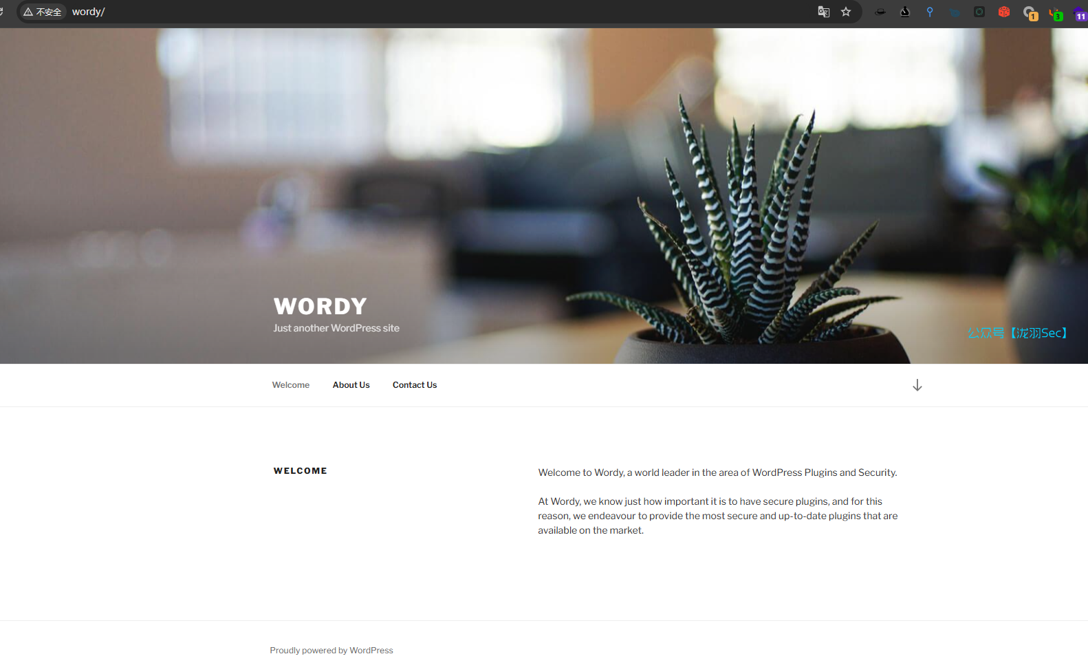 image-20241116205515902