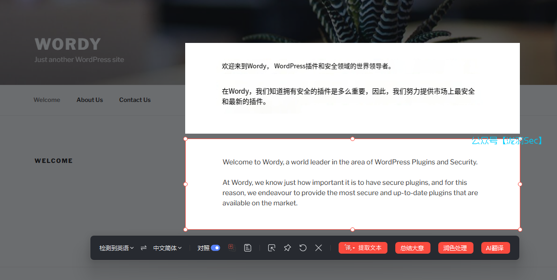 image-20241116205650743