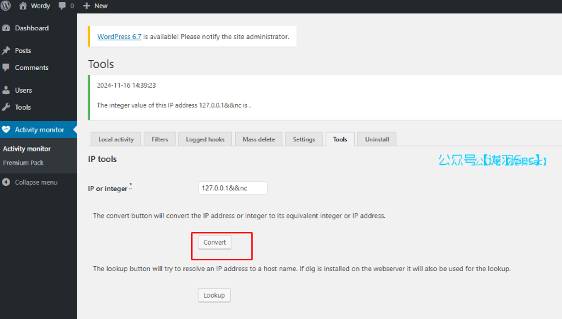 image-20241116224920236