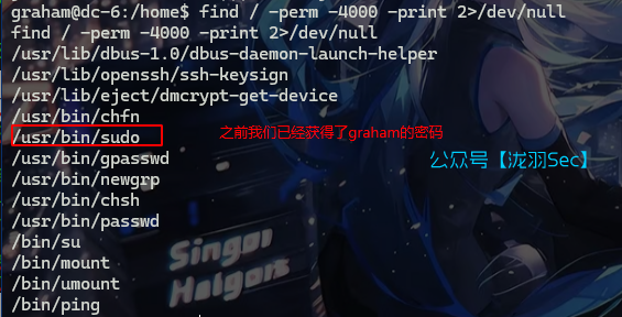 image-20241116233255521