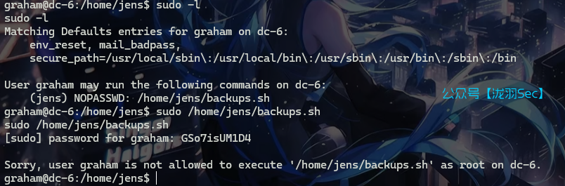 image-20241117000652880