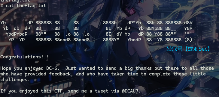 image-20241117002635221