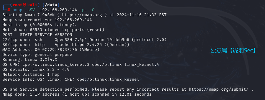 image-20241117103816910