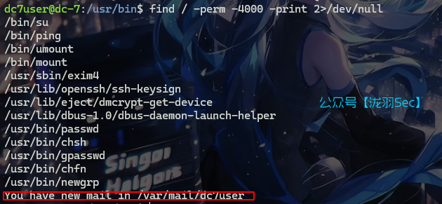 image-20241117124623693