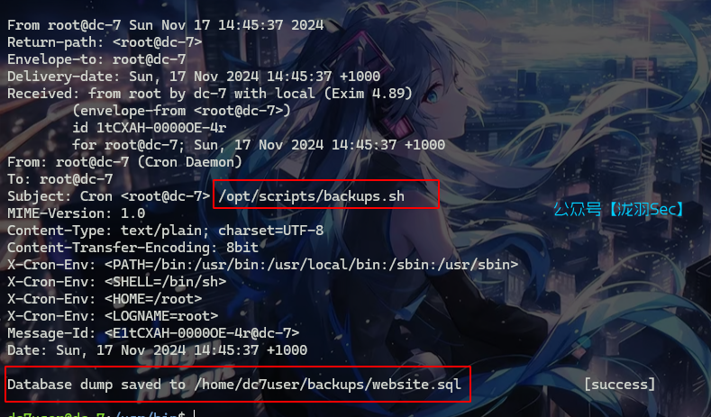 image-20241117124827407