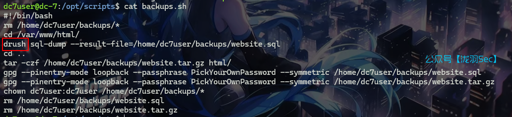 image-20241117125408204