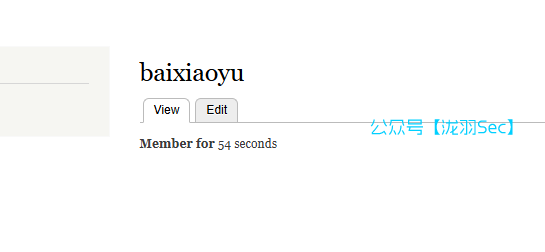 image-20241117131134751