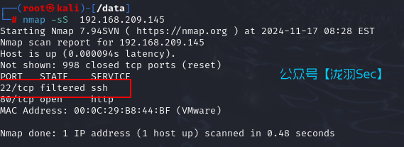 image-20241117212902234