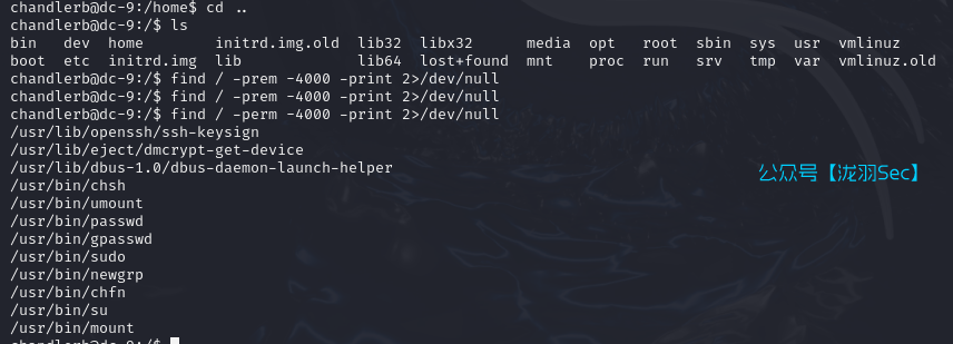 image-20241117220247154