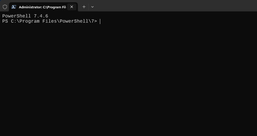 image-20241119135956907