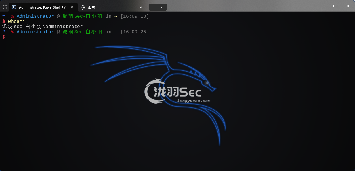 image-20241119160958099