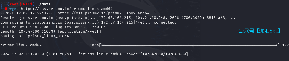 image-20241203000237157