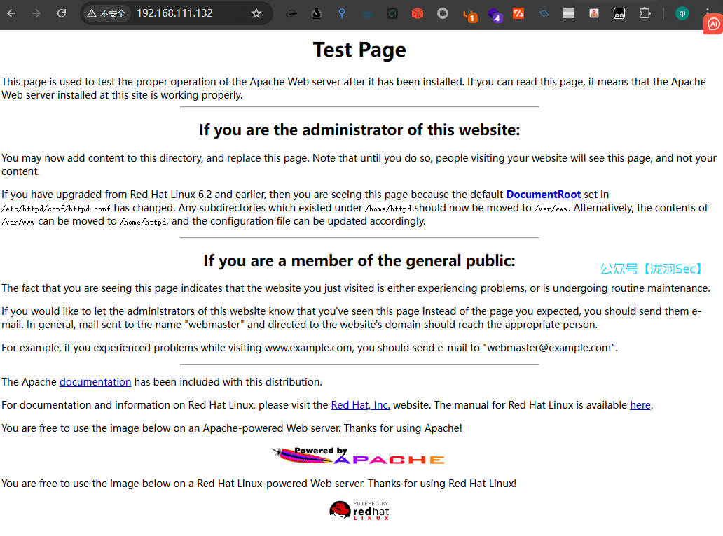 image-20241204220703197