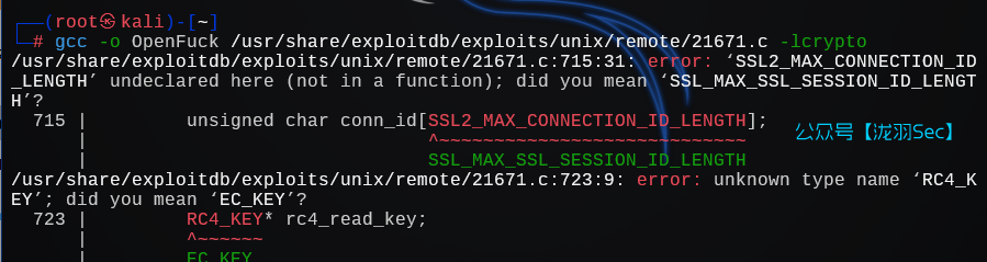 image-20241205010946824