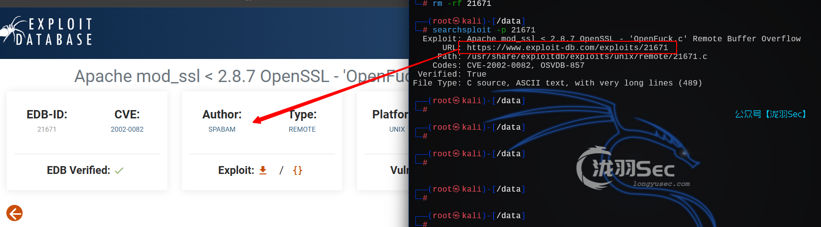 image-20241205012716766