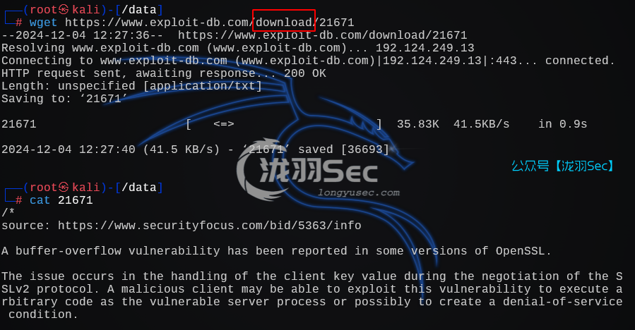 image-20241205012821464