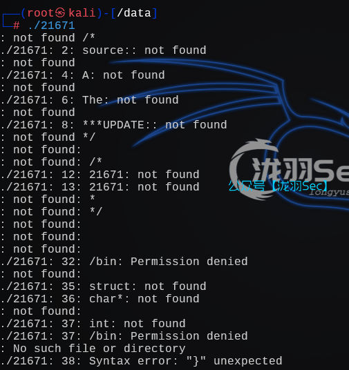 image-20241205013025820